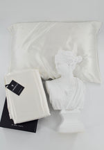 Load image into Gallery viewer, Powder White - Silk Duvet Cover Set
